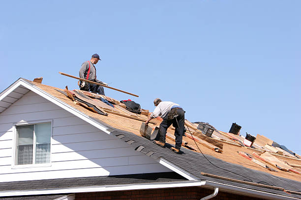 Best Skylight Installation and Repair  in Waterflow, NM